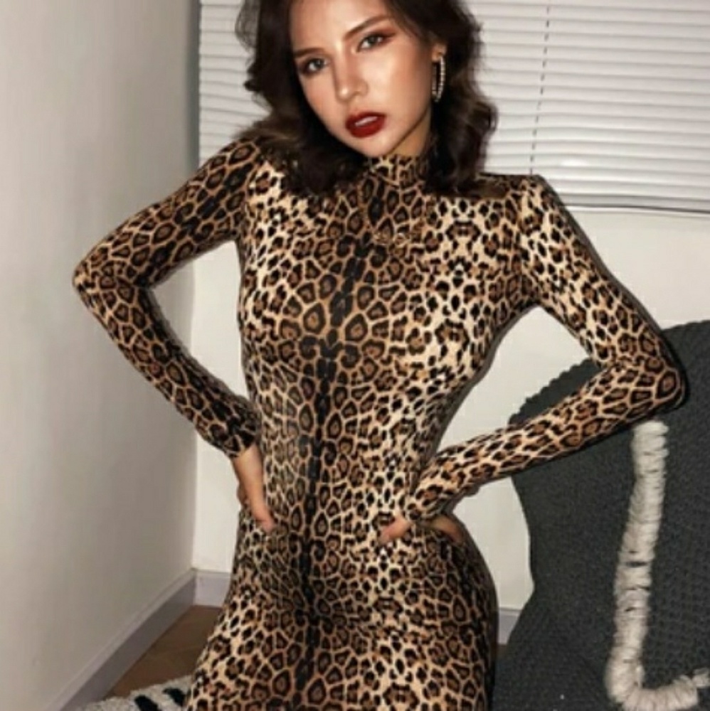 Leopard print long sleeve dress